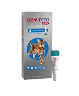 Bravecto Plus Gatos 250 mg M ( 2.8 - 6.25 kg ) Pulgas y garrapatas